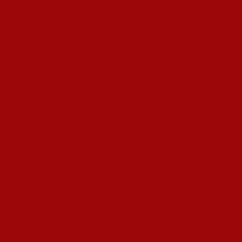 Brick Red - Rich Orange Red Organic Long Lasting Lipstick