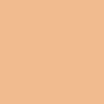Charismatic - Pale Fair Skin Neutral Organic Foundation