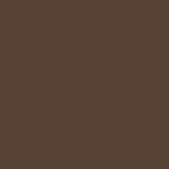 Entrancing - Dark Skin Cool Undertone Organic Foundation