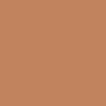 envision golden nude blush/eyeshadow accent duo full colour square