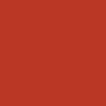 Coral orange blush eyeshadow full colour square