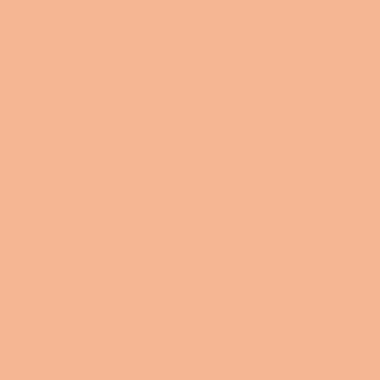 Magnetic Very Pale Fair skin Pink Undertone Organic Foundation