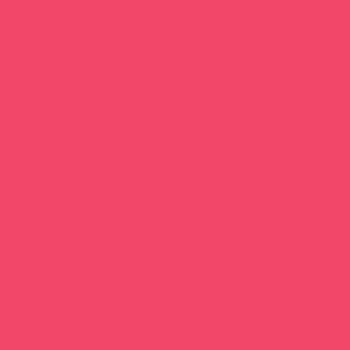 Panache - Vibrant Neon Pink Peach Organic Long Lasting Lipstick