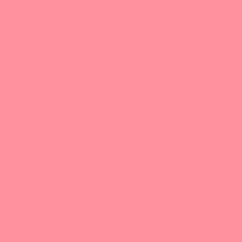 Relight - Tinted Organic Lip Balm