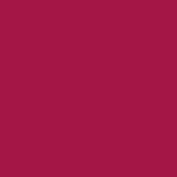 Tango - Dark Rich Raspberry Pink Organic Long Lasting Lipstick full colour square